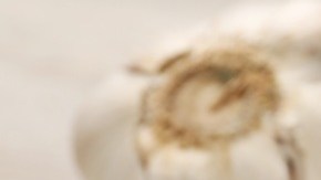Mayonesa de ajo