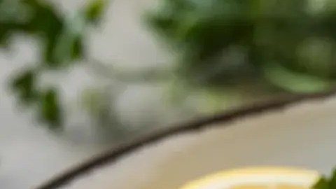 Salsas para acompañar pechuga de pollo