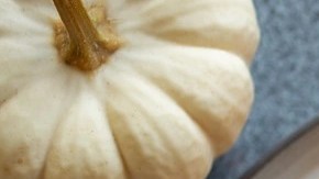 tortilla de calabaza