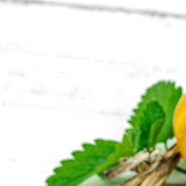 Calabaza espagueti