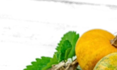 Calabaza espagueti