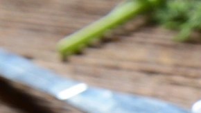 merluza rellena de espinacas