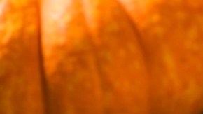 Ñoquis de calabaza en un plato blanco