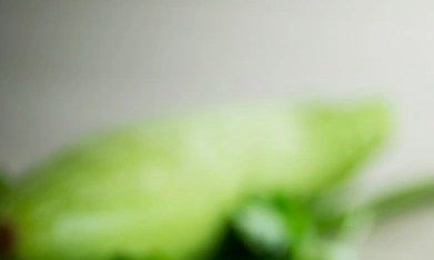 tortilla de judías verdes